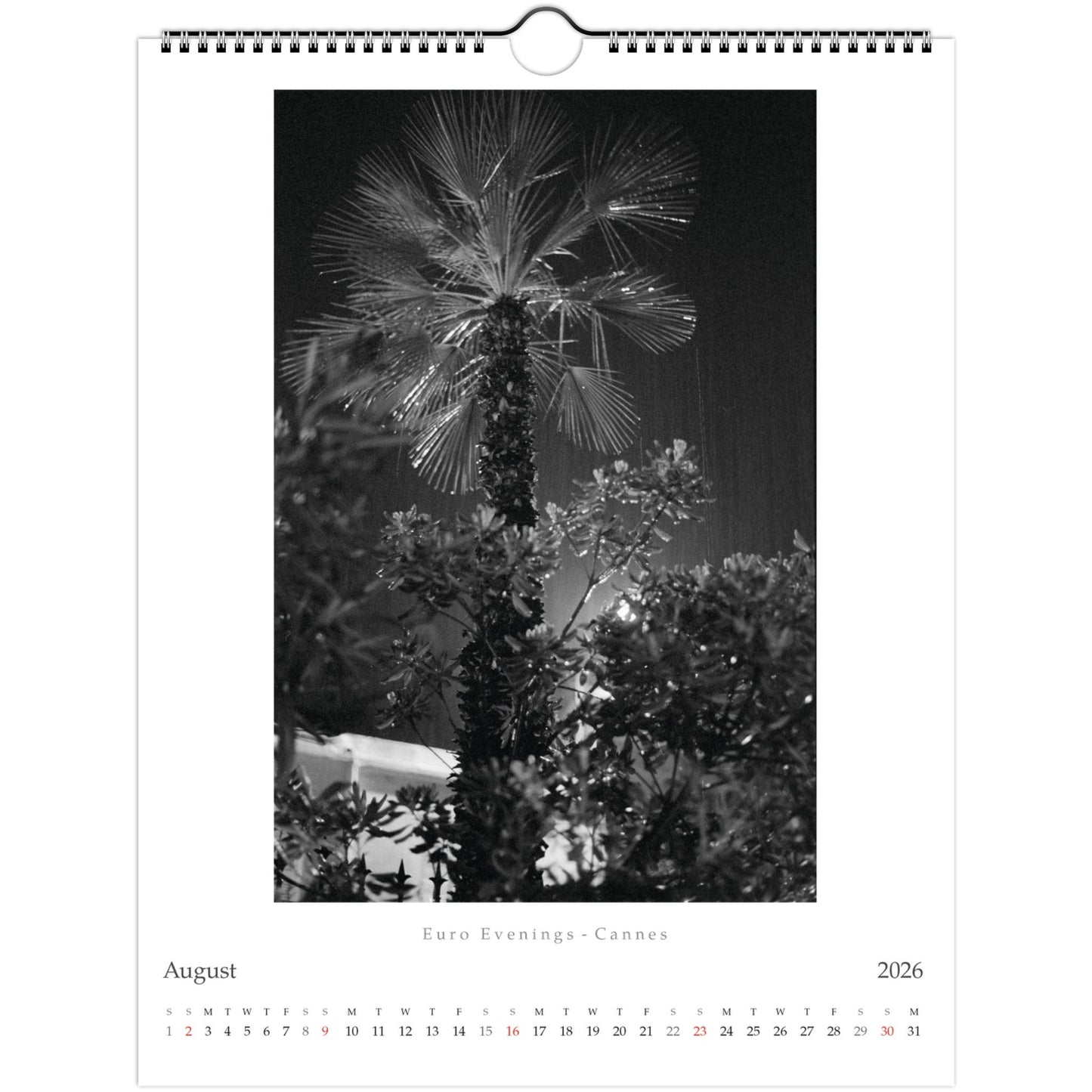 2135aa69-dcb6-40b3-8ba9-bef372a0d52e