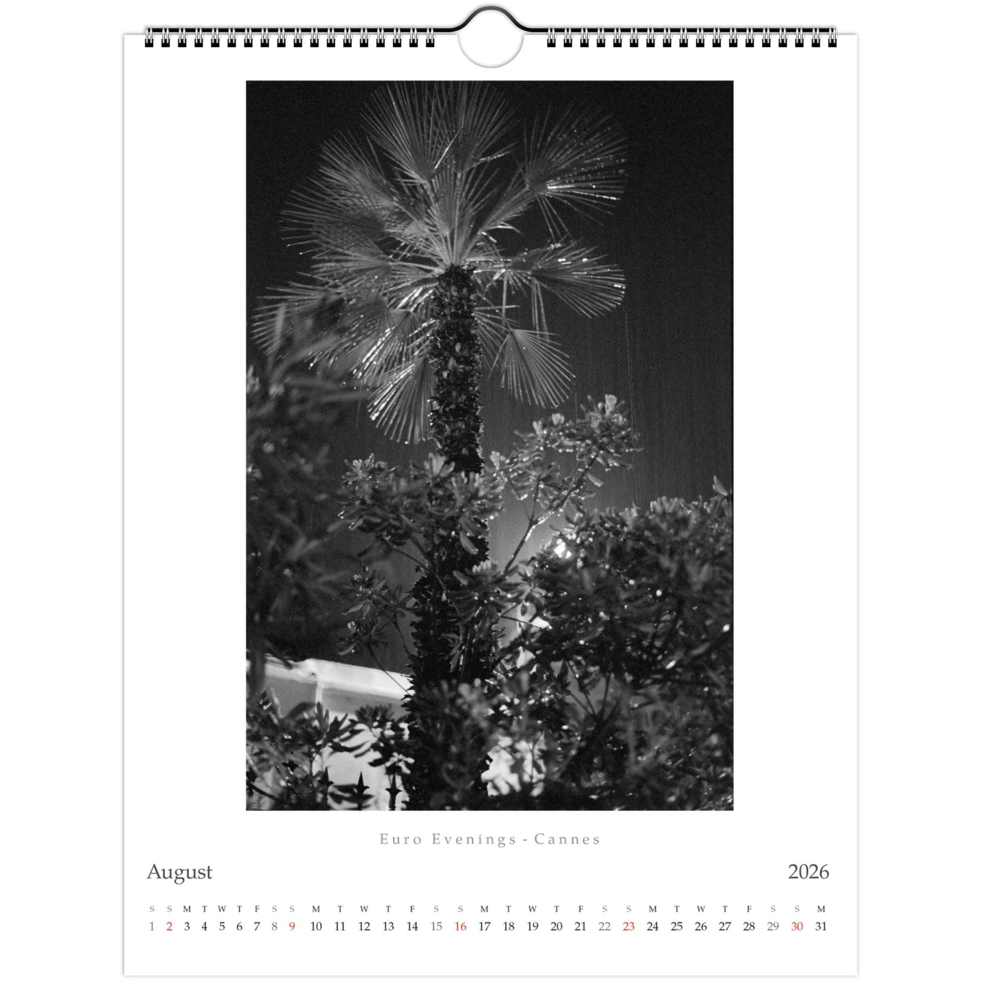 2135aa69-dcb6-40b3-8ba9-bef372a0d52e