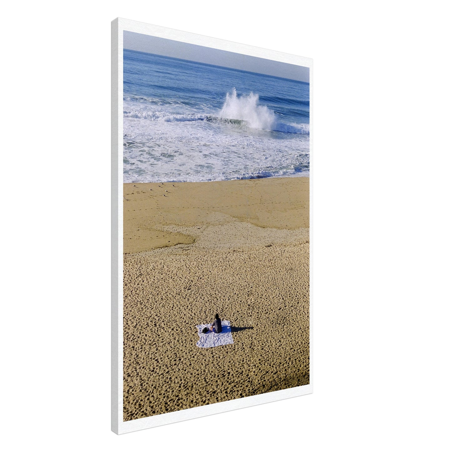 244fbbd6-94d8-4261-8bc9-96c725f071b6