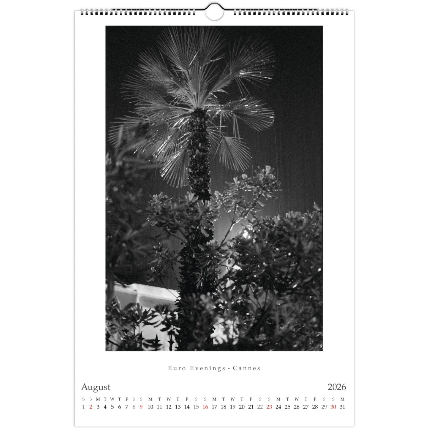 ab979274-75a9-4a20-bde1-94bf2ea76aa8