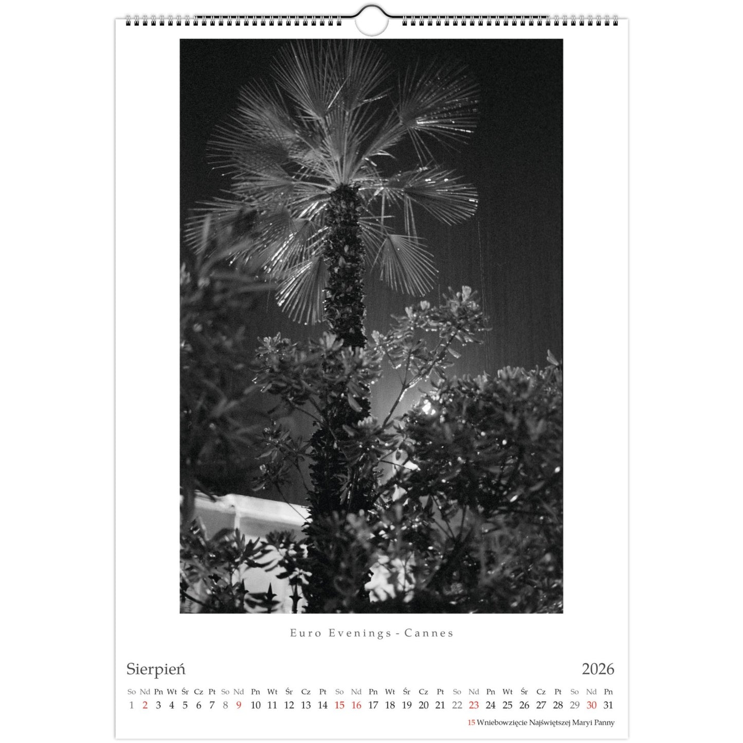 d7d47fb0-2589-4864-9c39-1d1a738092fa