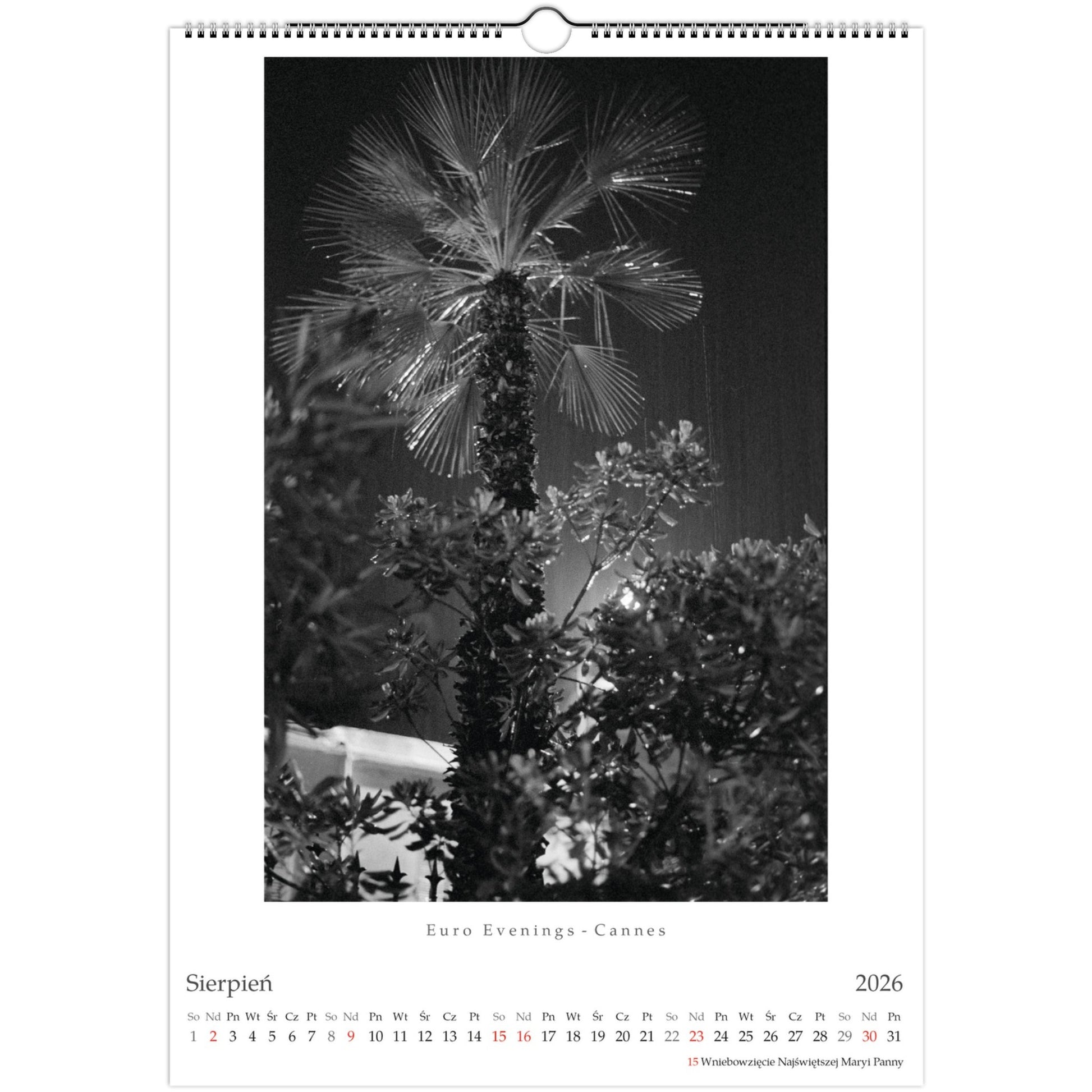 d7d47fb0-2589-4864-9c39-1d1a738092fa